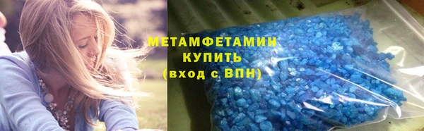 прущие грибы Надым