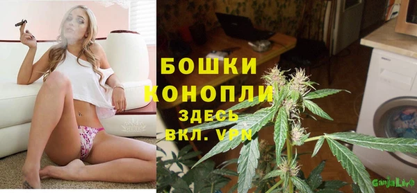 молекула духа Алексин