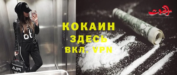 молекула духа Алексин